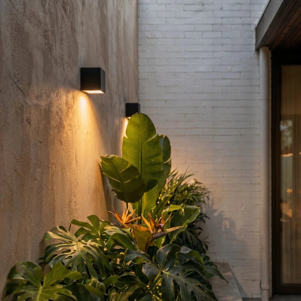 Two Clérachic black cube wall lights on a concrete-textured wall beside a white brick wall, lit warm above leafy plants.