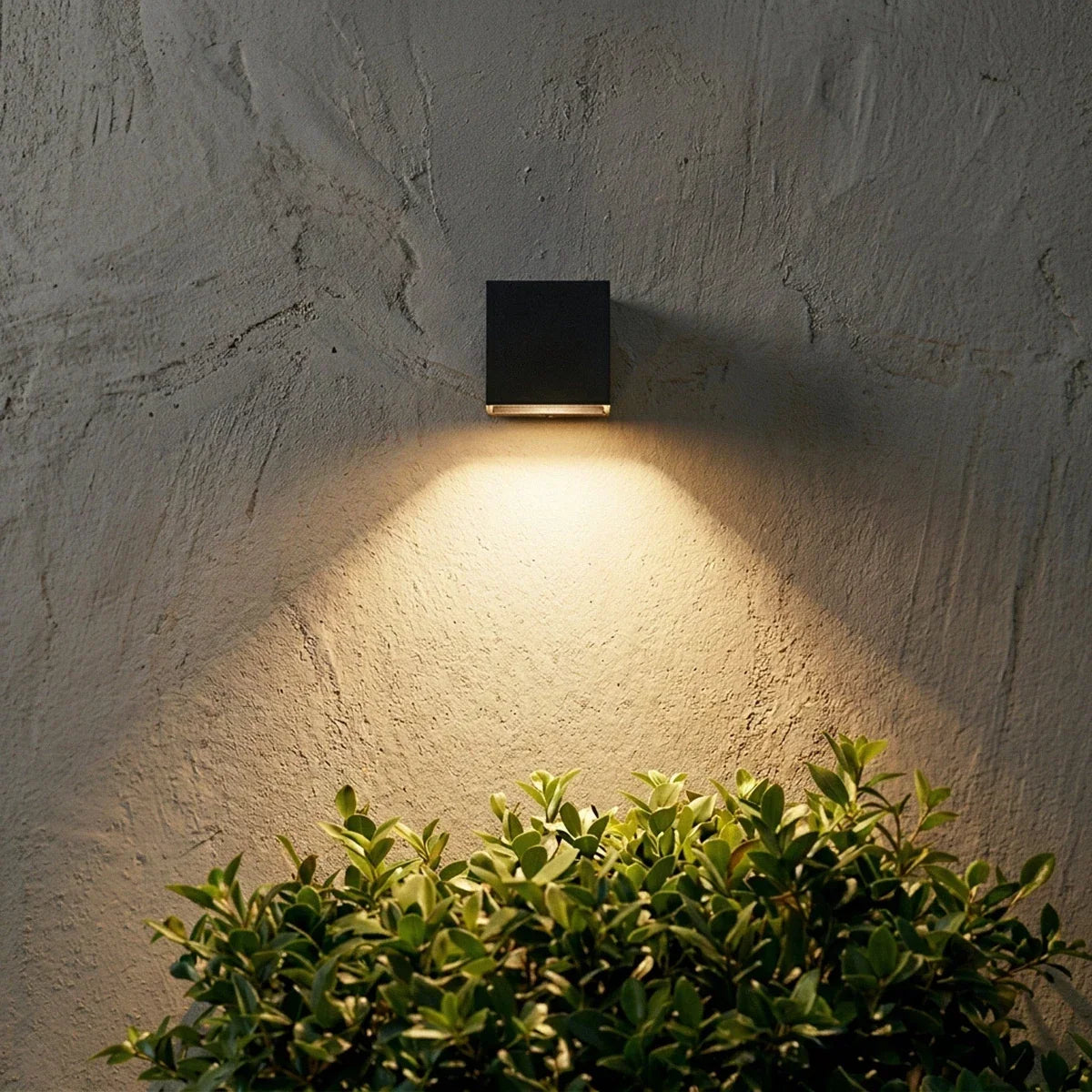 Single Clérachic black cube wall light on a rough grey plaster wall, throwing a soft downward cone over a clipped shrub.