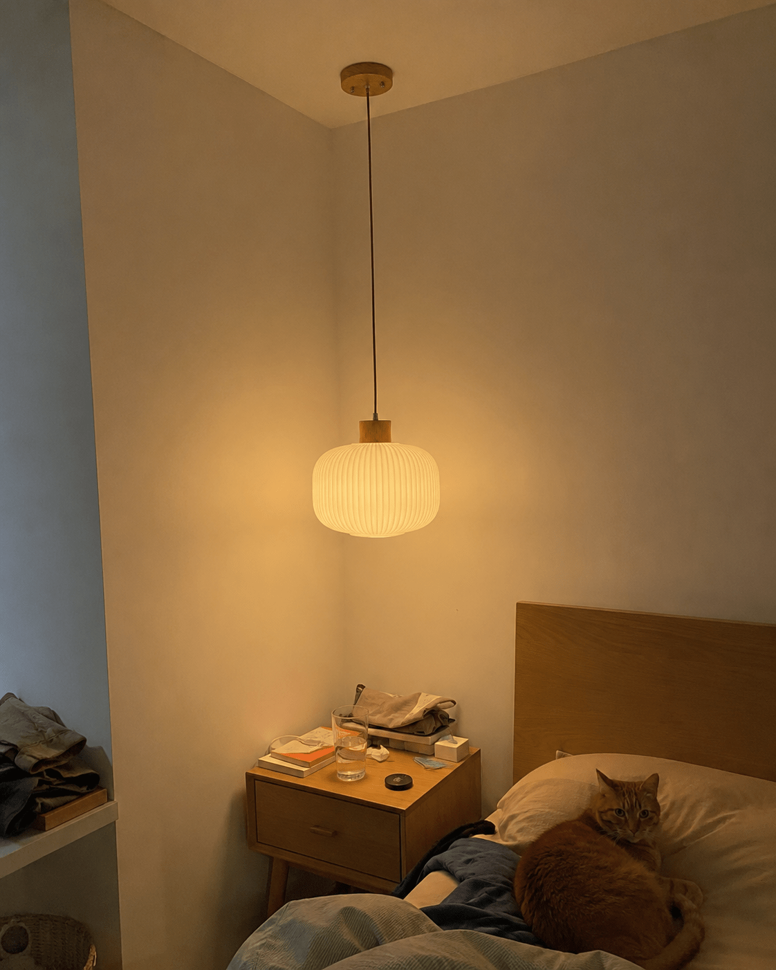 Mei | Ribbed Glass Lantern Pendant - Luma House