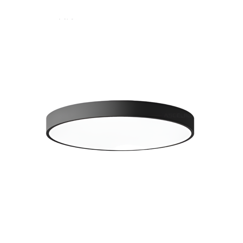 Modern Flush Mount LED Ceiling Lights Round Slim Frame Black Gold White Bedroom Hallway