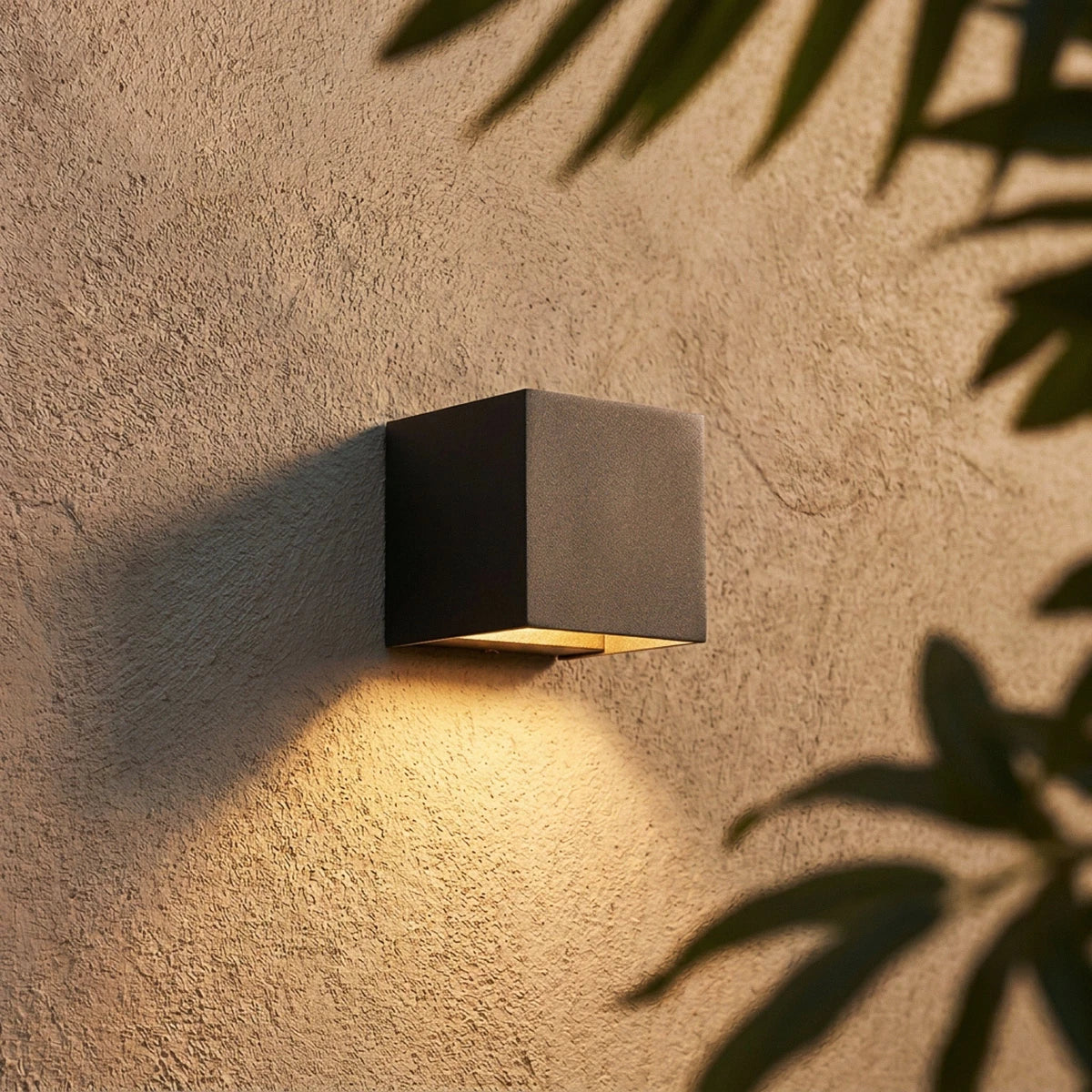Close view of a Clérachic black matt cube wall light on rough render, with a warm beam below and palm shadows around it.