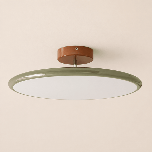 Modern Flush Mount Ceiling Light Round Disc Dome Semi-Flush Hallway Bedroom Lighting